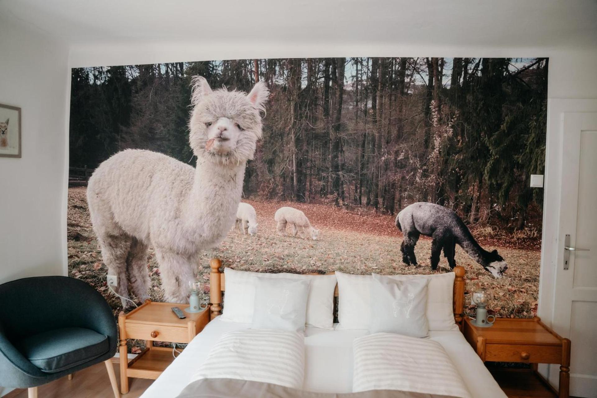 Alpakas, Lamas Und Rentiere Zum Gruenen See Grossdorf  Exterior foto